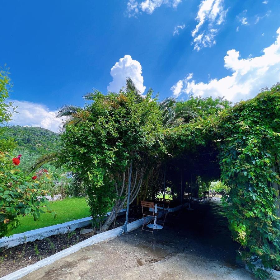 Garden Villa Naza Piqeras Exterior foto