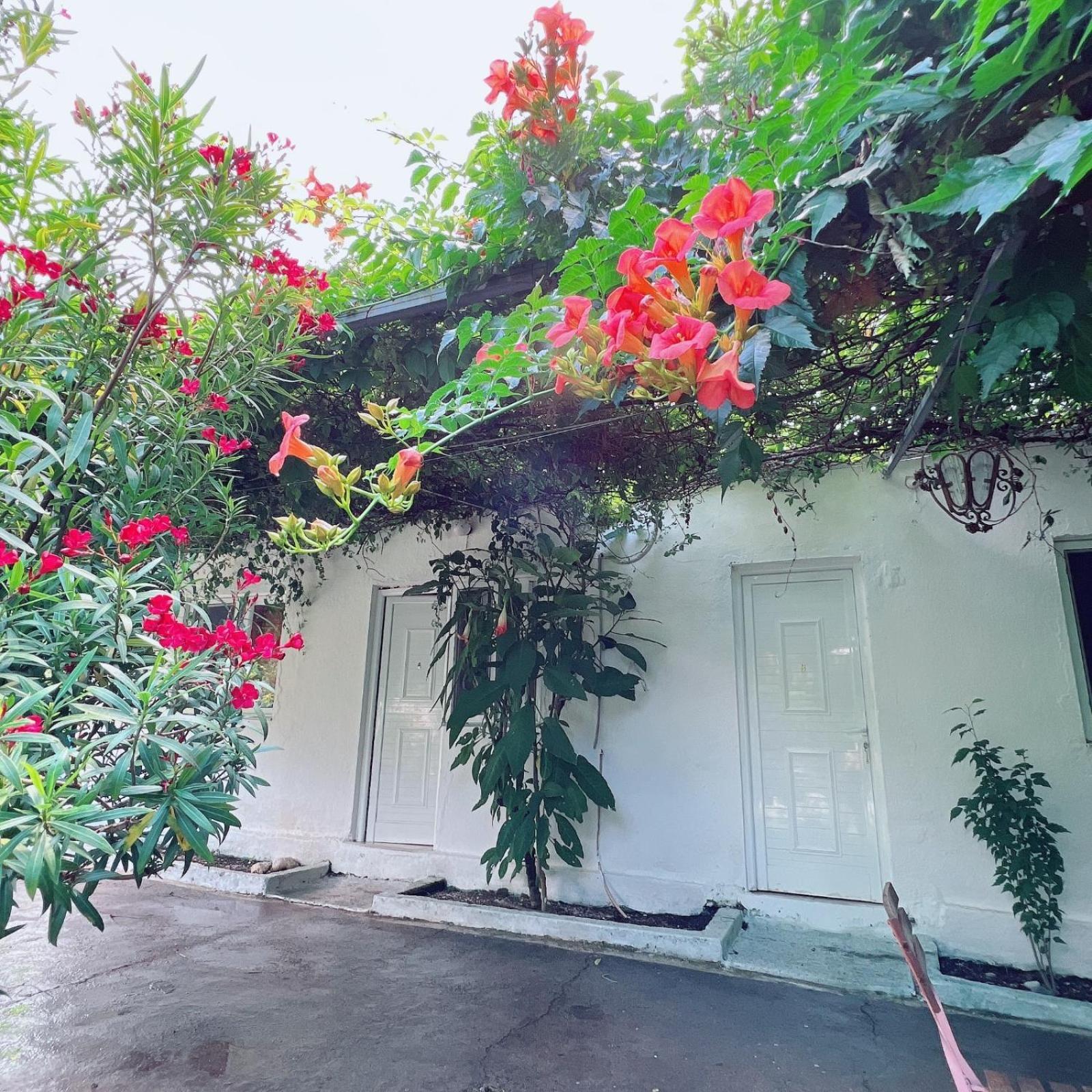 Garden Villa Naza Piqeras Exterior foto