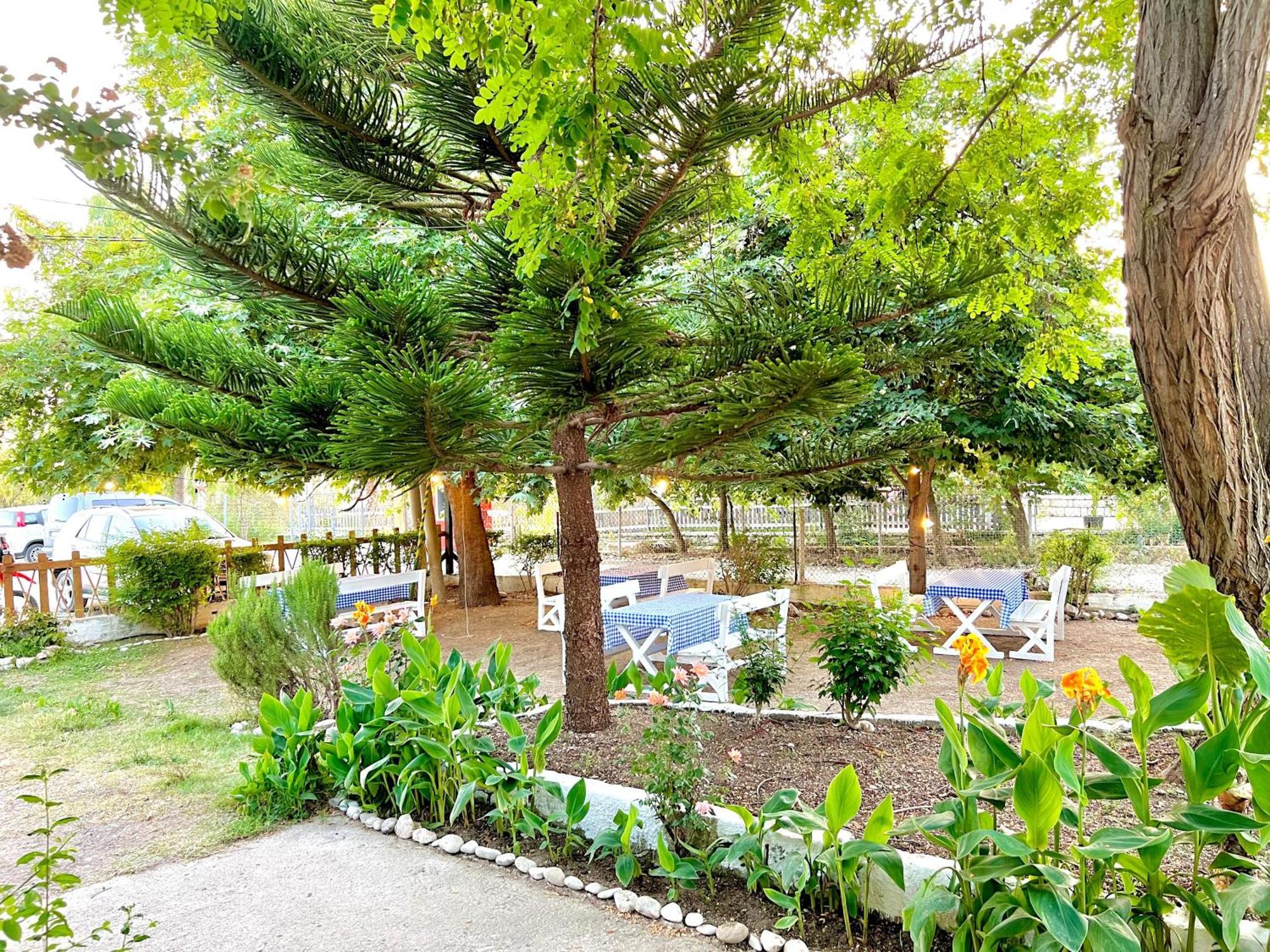 Garden Villa Naza Piqeras Exterior foto